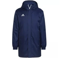 Vyriška stadiono striukė Adidas Entrada 22 M HG6301