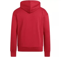 Vyriškas adidas Essentials Feelcozy džemperis su gobtuvu raudonas KC0907
