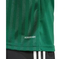 Vyriški adidas Campeon 25 marškinėliai, žali JF6063