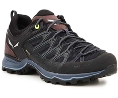 Vyriški batai Salewa Mtn Trainer Lite GTX M 61361-0971