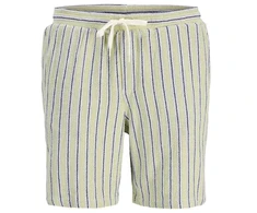 Vyriški dryžuoti „Jack&amp;Jones“ šortai JPSTJAIDEN COBA STRIPE JOG SHORTS REG SN 12274413 TEA/STRIPES