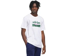 Vyriški marškinėliai adidas Sportsman Mountain Graphic, balti, KC9254