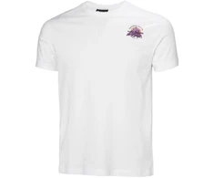 Vyriški marškinėliai Helly Hansen Core Graphic T 2.0