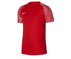 Vyriški marškinėliai Nike Dri-Fit Academy SS M DH8031-657