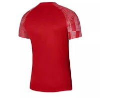 Vyriški marškinėliai Nike Dri-Fit Academy SS M DH8031-657