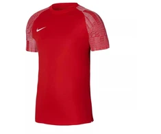 Vyriški marškinėliai Nike Dri-Fit Academy SS M DH8031-657