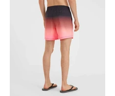 Vyriški maudymosi šortai O'Neill Jack Cali Gradient, 15 colių
