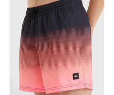 Vyriški maudymosi šortai O'Neill Jack Cali Gradient, 15 colių