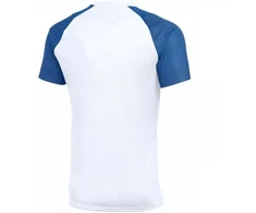 Vyriški Nike Dri-Fit Academy II marškinėliai balti ir mėlyni HV8160 103