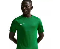 Vyriški Nike Dri-Fit Park VIII marškinėliai žali HV8173 302