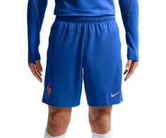 Vyriški „Nike“ Prancūzijos futbolo rinktinės „Dri-Fit FFF Strike“ šortai, mėlyni, IB4609 480