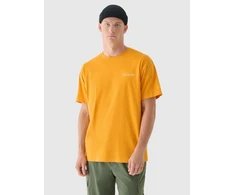 Vyriški oversize spausdinti marškinėliai 4F 4FRAW24TTSHM2578-70S