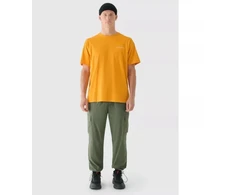 Vyriški oversize spausdinti marškinėliai 4F 4FRAW24TTSHM2578-70S