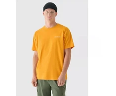 Vyriški oversize spausdinti marškinėliai 4F 4FRAW24TTSHM2578-70S