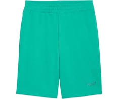 Vyriški šortai „Puma ESS No.1 Logo 10"“ (dydis S), žali, 682595 40