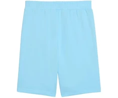 Vyriški šortai Puma ESS No.1 Logo 10" (S dydis), šviesiai mėlyni, 682595 45