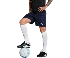 Vyriški šortai Puma Team Goal Tamsiai mėlyna 705752 06 Puma