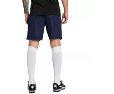 Vyriški šortai Puma Team Goal Tamsiai mėlyna 705752 06 Puma