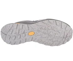 Vyriški žygio batai Jack Wolfskin Terraquest Texapore Low, pilki