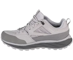 Vyriški žygio batai Jack Wolfskin Terraquest Texapore Low, pilki