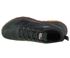 Vyriški žygio batai Jack Wolfskin Terraventure Texapore Low, juodi ir žali