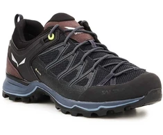Vyriški žygio batai Salewa MTN Trainer Lite GTX