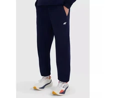 Vyriškos jogger tipo kelnės 4F 4FRMM00TTROM1625-31S