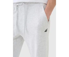 Vyriškos kelnės-jogger 4F 4FWMM00TTROM1139-27M