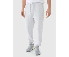 Vyriškos kelnės-jogger 4F 4FWMM00TTROM1139-27M