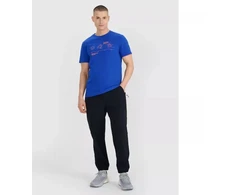 Vyriškos laisvalaikio kelnės 4F 4FWSS25TTROM1001-20S