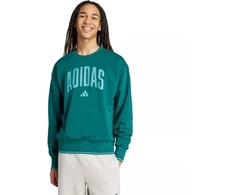 Vyrų adidas Koleginis džemperis Žalias JM1733