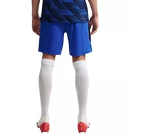 Vyrų treniruočių šortai Nike France Dri-Fit Adv Elite, mėlyni, IB4603 480