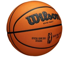 Wilson EVO NXT Afrikos Lygos Oficialus Kamuolys WTB0900XBBA Krepšinio Kamuolys
