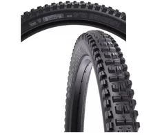 WTB Padanga 29'' 2.4 JUDGE TCS LHG TriTec SG2