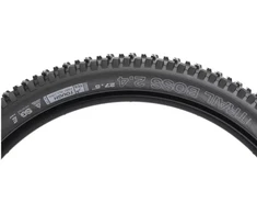 WTB Padanga 29x2.4 TRAIL BOSS THG TRITEC SG1