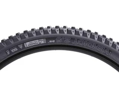 WTB Padanga 29x2.5 VERDICT THG TRITEC SG1
