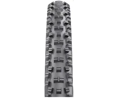 WTB Padanga 29x2.5 VIGILANTE LHG 60 TPI TRITEC SG2
