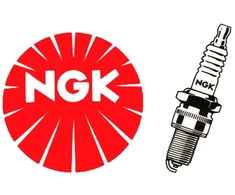 ŽVAKĖ NGK B2LM VEJAPJOVĖS