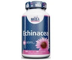 Haya Labs Echinacea 60 kaps.