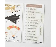 FERFLEX Magnetai - oro transportas (English version)