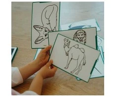 KIDYWOLF piešimo planšetė Animals Around The World, KIDYDRAW-MINI-AAW