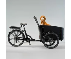 Electric cargo bike CARGOBIKE of SWEDEN Flex Dog