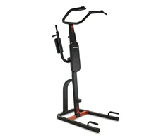 Power station BH FITNESS Power Tower