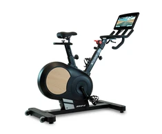 Dviratis su treniruokliu BH FITNESS Xcalibur Multimedia