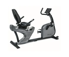 Recumbent Bike TOORX BRX R3000