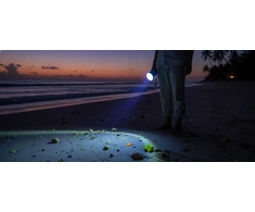 128 LED 395 nm USB-C SONOVO UV žibintuvėlis gintarui ir aptikimui
