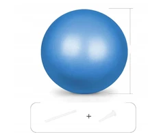 25 CM RUTUČIŲ RINKINYS, SKIRTAS YOGA PILATES FITNESS GIMNASTIJOS BALANSUOSE