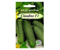 Agrimatco Agurkų sėklos 12vnt. Claudine