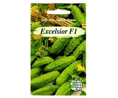 Agrimatco Agurkų sėklos 12vnt. Excelsior