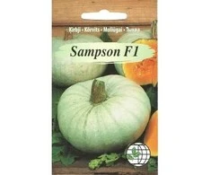 Agrimatco Moliūgų sėklos 5 sėklos Sampson F1